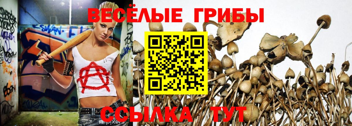Галлюциногенные грибы мицелий Усинск