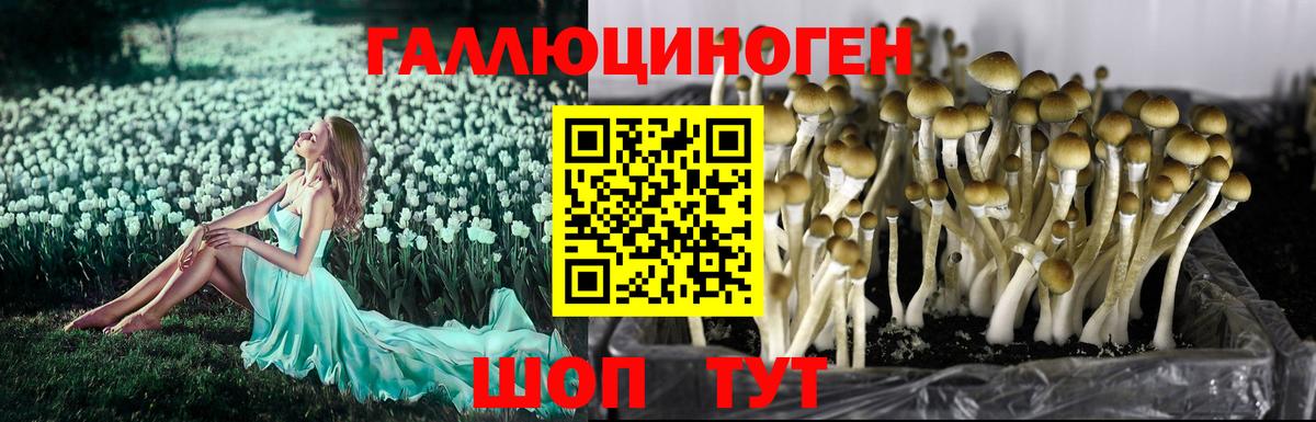 Галлюциногенные грибы мицелий  Галлюциногенные грибы GOLDEN TEACHER  Усинск  Вход с VPN 